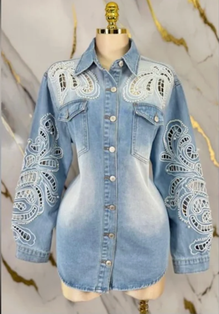 Light Blue Embroidered Denim Button-Front Blouse