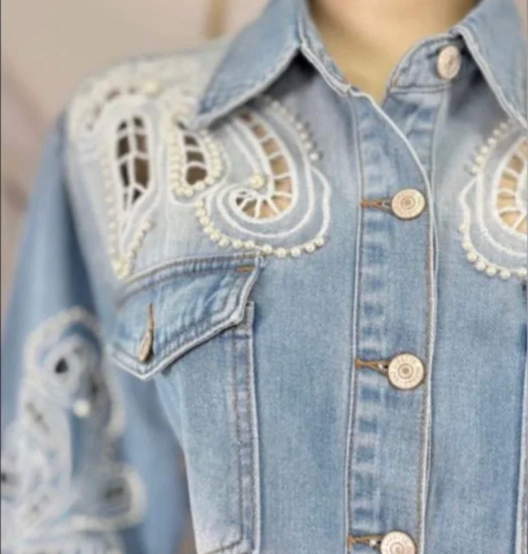 Light Blue Embroidered Denim Button-Front Blouse