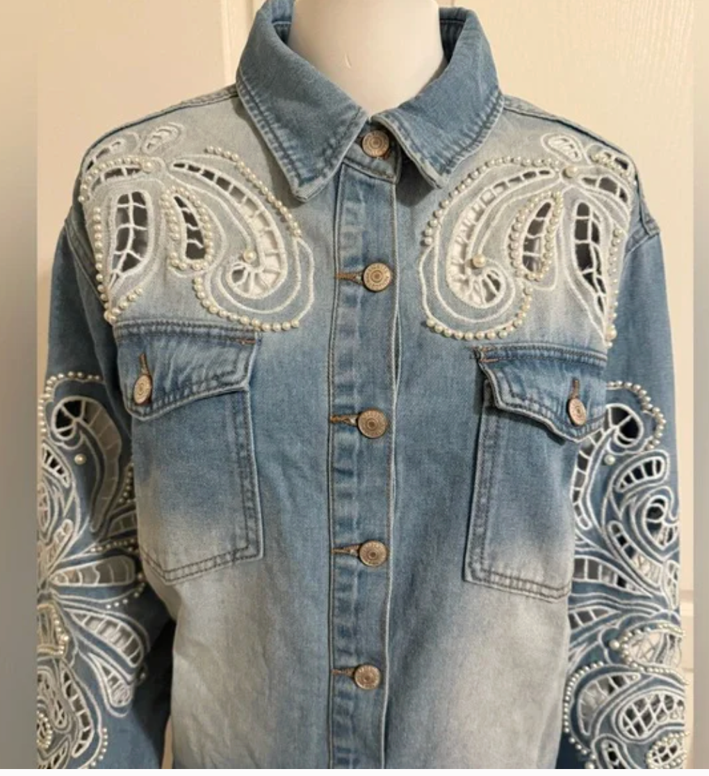 Light Blue Embroidered Denim Button-Front Blouse